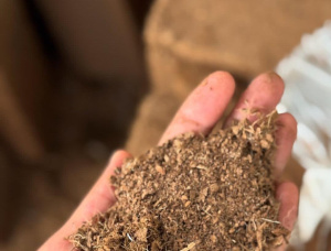 Peat briquettes 150 mm x 185 mm x 50 mm