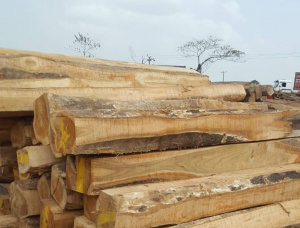 Teak Square Logs 100 mm x 150 mm x 6 m