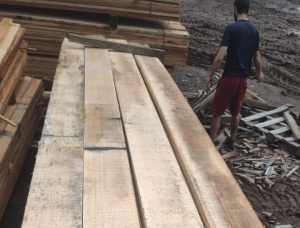 40 mm x 200 mm x 5400 mm AD S4S Heat Treated Eucalyptus Lumber