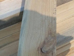 38 mm x 88 mm x 2985 mm GR  Spruce-Pine (S-P) Beam