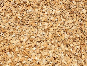 Birch Wood chips