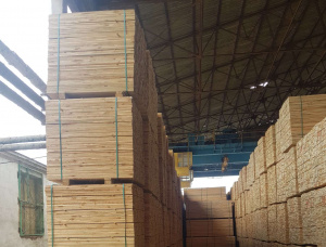 16 mm x 88 mm x 2985 mm Heat Treated Madera aserrada de Picea-pino (S-P)
