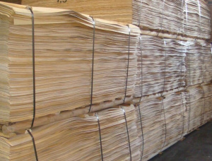 Лущеный шпон Береза бумажная 2600 мм x 1300 мм x 1.5 мм