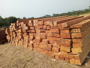 5 in. x 9 in. x 108 ft. GR R/S  Doussie (Afzelia, Lingue, Apa, Chanfuta) Lumber