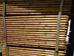 Pinus Balok bundar 50 mm x 6 m
