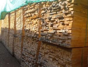32 mm x 100 mm x 2400 mm  建築材 云杉 - 松 - 冷杉 (SPF) S4S KD