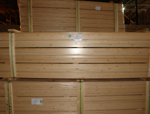 KD European spruce Tongue & Groove Paneling 12.5 mm x 88 mm x 6000 mm
