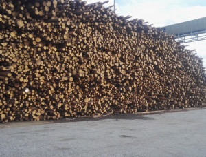 Балансовая древесина Сосна обыкновенная 600 мм x 3 м