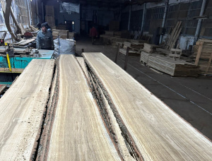 50 mm x 170 mm x 2500 mm KD S4S  Oak Lumber