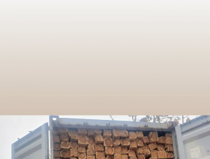 Teak Square Logs 100 mm x 2500 mm x 2.3 m