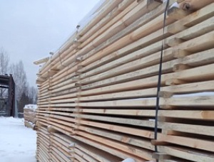 25 mm x 100 mm x 3000 mm KD S4S  Silver Birch Lumber