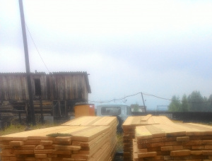 50 mm x 150 mm x 6000 mm AD R/S  Siberian Pine Lumber