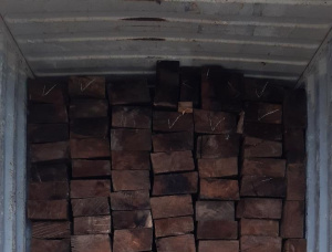 Padouk (Camwood, Barwood, Mbel, Corail) Square Logs 160 mm x 180 mm x 3000 m