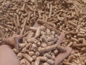 Holzpellets  Fichte 8 mm x 30 mm