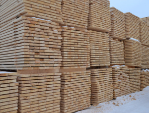 襯裡 歐洲雲杉 KD 12.5 mm x 96 mm x 3000 mm