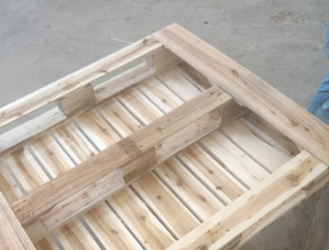 صنوبر رادياتا منصات خشبية 1200 mm x 1000 mm x 150 mm