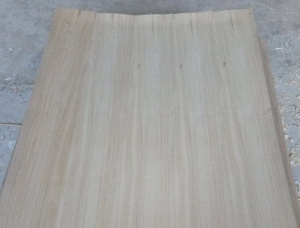 Particle board 19 mm x 600 mm x 2500 mm