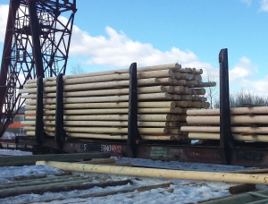 Siberian Pine Wood utility poles 160 mm x 9.5 m