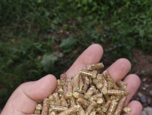Holzpellets  Waldkiefer 6 mm x 40 mm