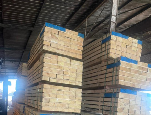 50 mm x 150 mm x 3200 mm AD S4S Heat Treated Afrormosia (Assamela, Obang) Lumber