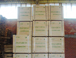 35 mm x 150 mm x 2000 mm KD R/S Heat Treated Elliotis Pine Lumber