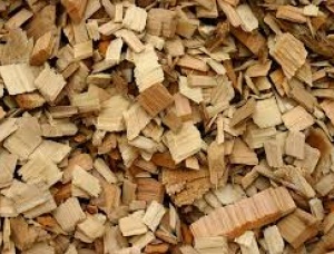 Beech Wood chips