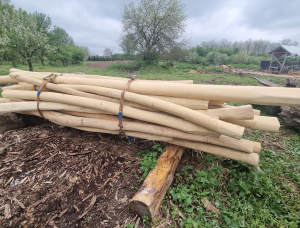 Acacia Poles 100 mm x 2.5 m