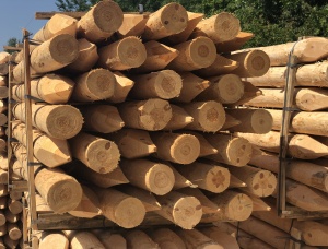 Zylindrisch rundholz Fichte-Kiefer (S-P) 40 mm x 6 m