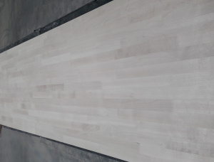 Birch Furniture panel 20 mm x 600 mm x 3000 mm