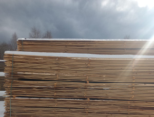 22 мм x 125 мм x 6000 мм  Доска обрезная Ель-Сосна (S-P) R/S AD