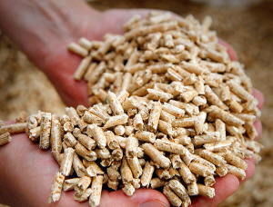 Maple Wood pellets 6 mm x 15 mm