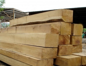 Doussie (Afzelia, Lingue, Apa, Chanfuta) Square Logs 150 mm x 8 m