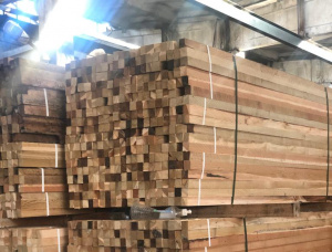35 mm x 125 mm x 3000 mm GR R/S  Siberian Larch Lumber