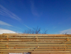 50 mm x 150 mm x 6000 mm KD  Oak Beam