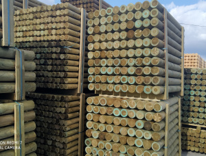 European spruce Poles 160 mm x 6 m