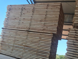 100 mm x 180 mm x 2800 mm KD R/S Heat Treated Elliotis Pine Lumber