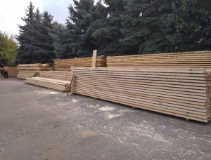 100 mm x 200 mm x 6000 mm AD  Siberian Pine Beam