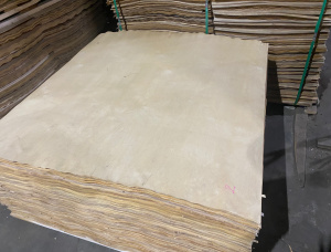 Paper Birch Rotary Cut Veneer 1600 mm x 1600 mm x 1.5 mm