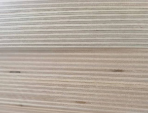 Sanded Chinese Red Birch Film faced plywood 2440 mm x 1220 mm x 18 mm