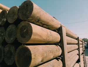 Столбы Ель-Сосна (S-P) 80 мм x 2.2 м