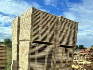 Scots Pine Pallet timber 22 mm x 98 mm x 1.2 m