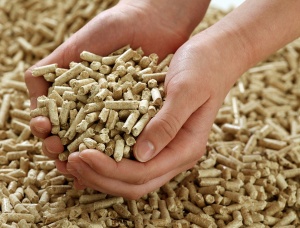 Oak Wood Pellets 8 mm x 20 mm