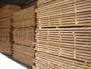 40 mm x 150 mm x 3000 mm KD S4S Pressure Treated Beech Lumber