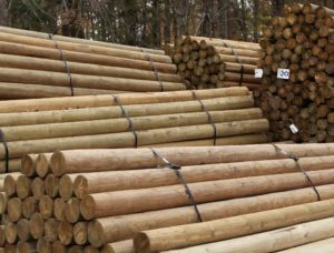 Radiata Pine Poles 300 mm x 15 m