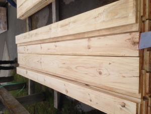 32 mm x 150 mm x 4800 mm  Eingefasstes Brett Radiata Pine R/S KD