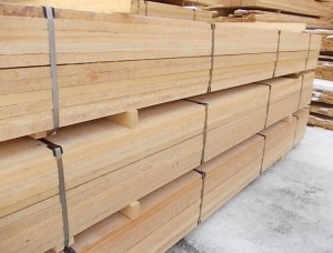 Siberian larch board