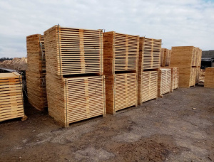 European larch Pallet timber 22 mm x 143 mm x 1200 m