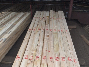 38 mm x 114 mm x 6000 mm KD S4S Heat Treated Radiata Pine Lumber