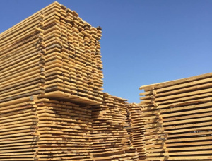 25 mm x 100 mm x 4000 mm KD S4S  Pine Lumber