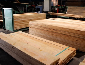 100 mm x 300 mm x 6000 mm KD Heat Treated Oak Lumber